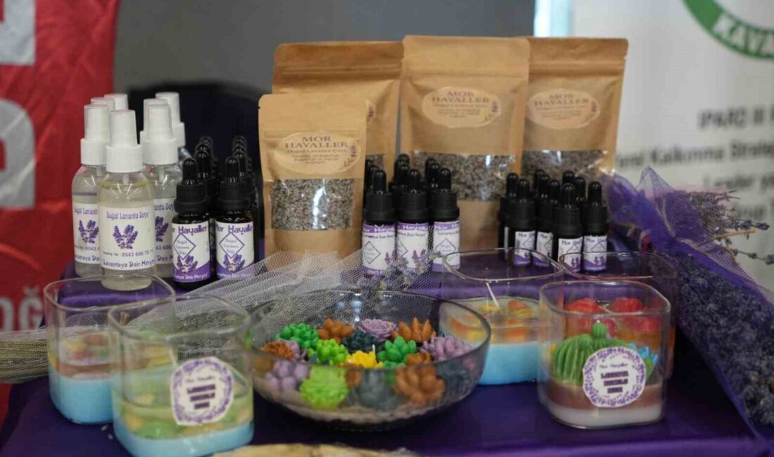 Samsun’un Kavak ilçesinde lavanta yetiştiriciliği, kadınlar arasında rağbet görüyor. Kadınlar