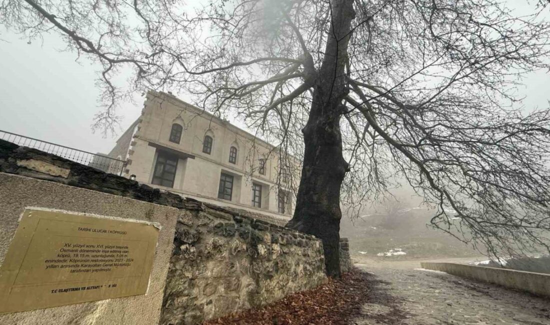 Diyarbakır’ın Lice ilçesinde bulunan 486 yıllık Atak Ulu Camii sisle