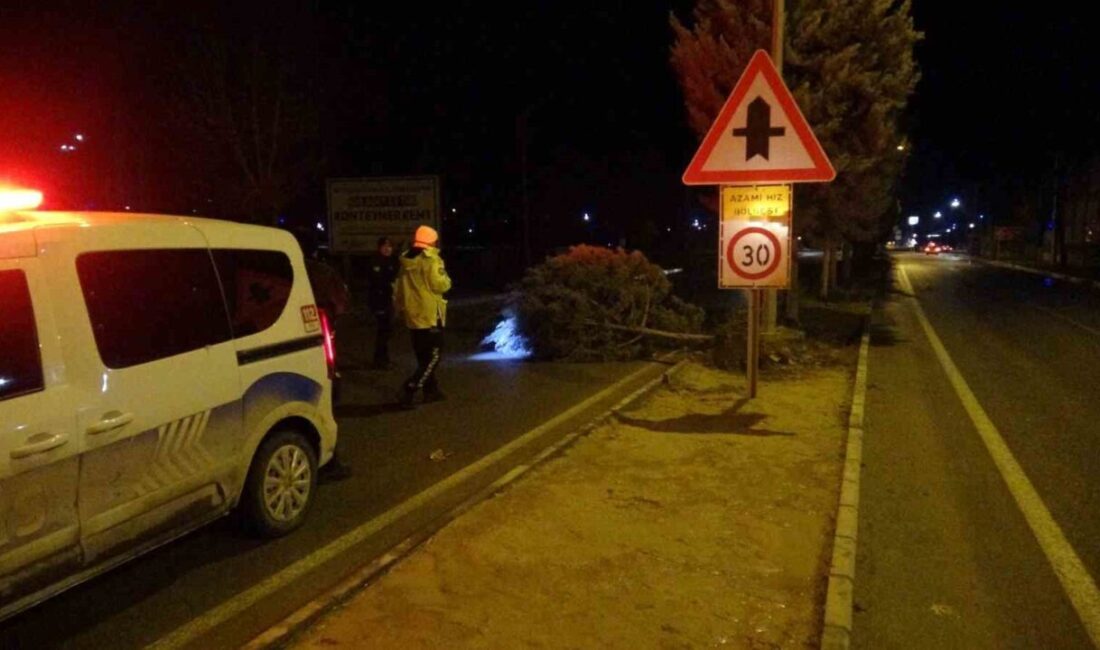 Malatya’da etkili olan fırtına, sağanak yağışla birlikte ağaçları kökünden söktü.