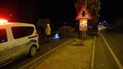 Malatya’da etkili olan fırtına, sağanak yağışla birlikte ağaçları kökünden söktü.