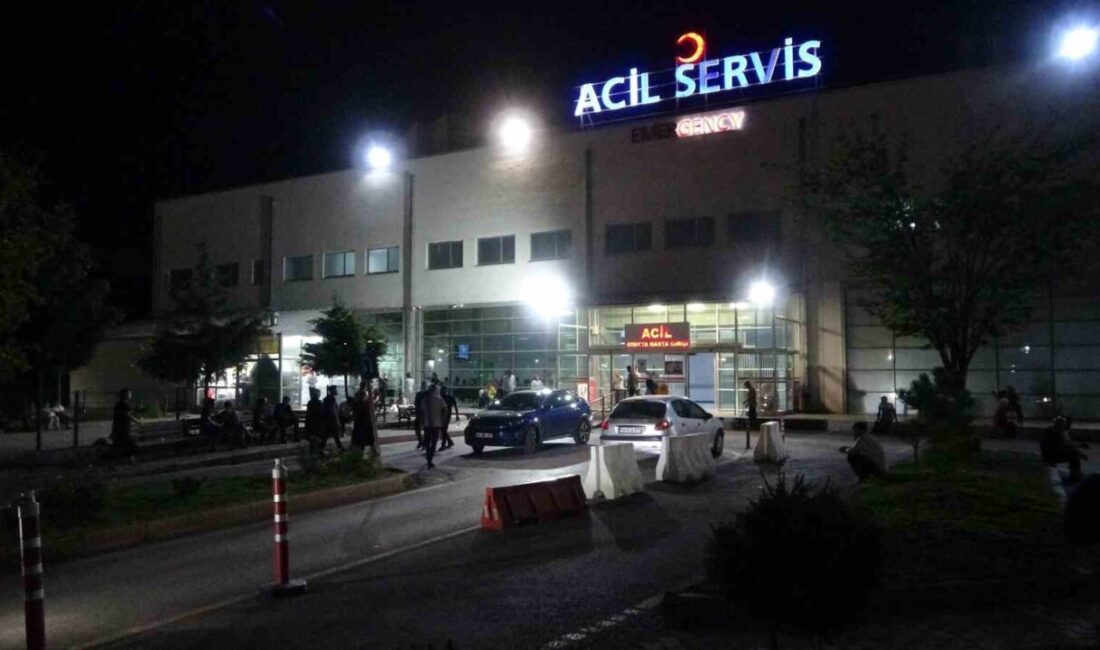 Malatya’da yolun karşısına geçmeye çalışırken otomobilin çarptığı yaya hayatını kaybetti.