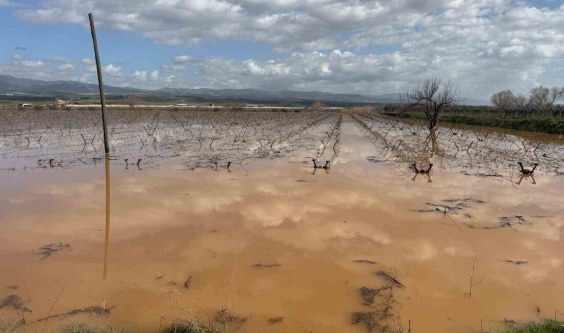 Manisa’nın Salihli ilçesinde Gediz Nehri’nin taşması sonucu evlerinde mahsur kalan