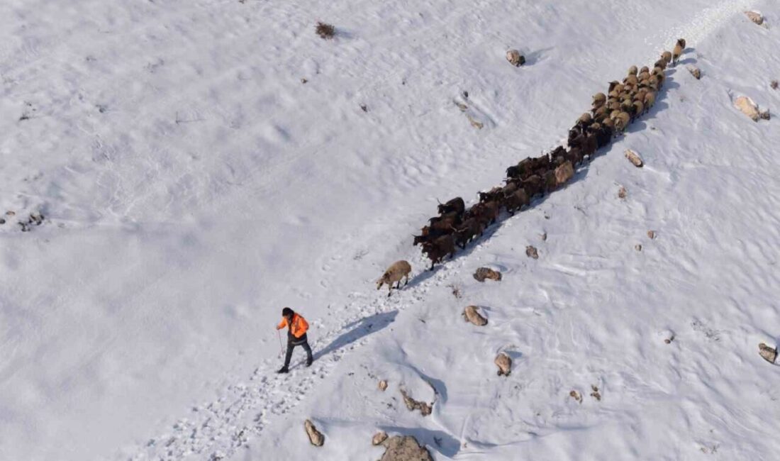 Mardin’in Mazıdağı ilçesinde etkili olan kar yağışı hayatı olumsuz etkilerken,