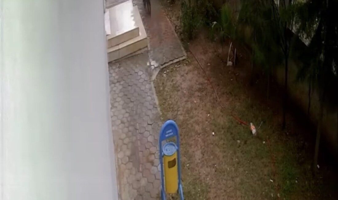 Mardin’in Kızıltepe ilçesinde meydana gelen bisiklet hırsızlığı güvenlik kamerasına yansıdı.