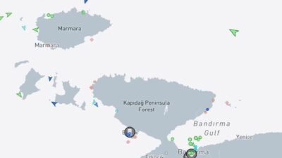 Marmara Denizi’nde seyir halindeki bir ticari gemiden denize atladığı iddia