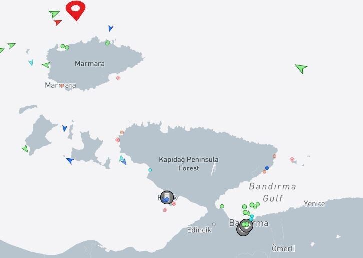 Marmara Denizi’nde seyir halindeki bir ticari gemiden denize atladığı iddia
