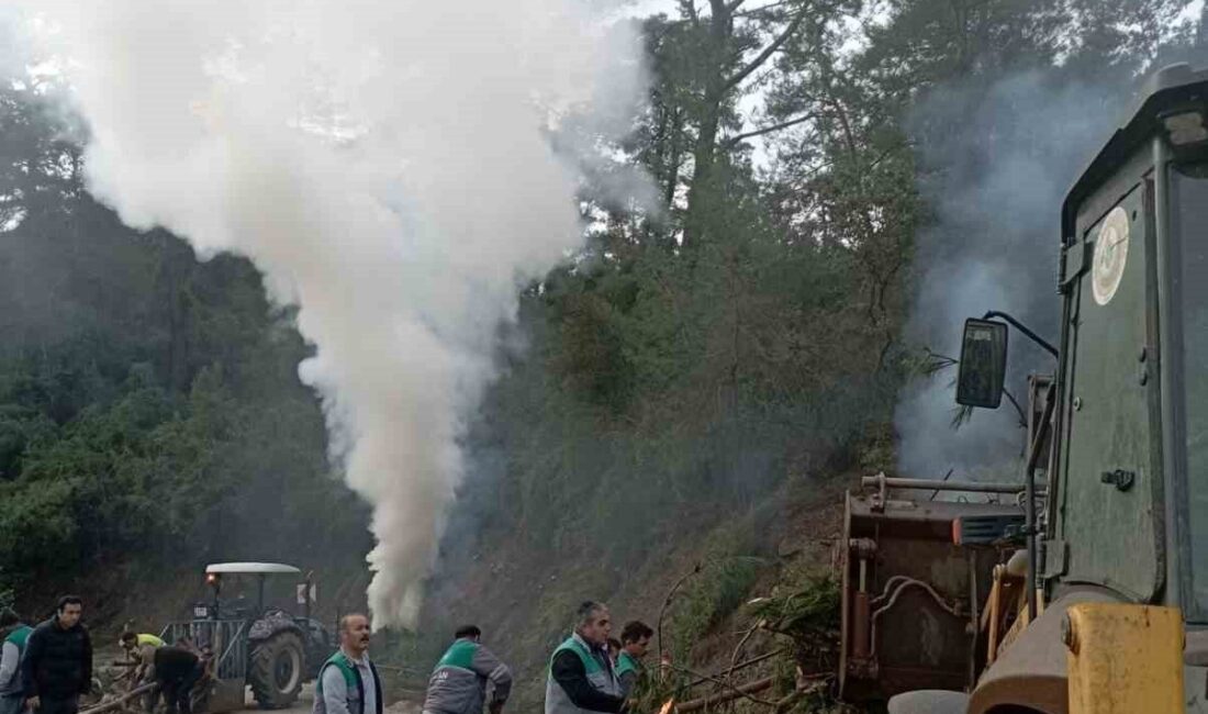 Yangın sezonu yaklaşırken Marmaris’te ormanlık alanlarda hazırlıklar hız kazandı. Marmaris
