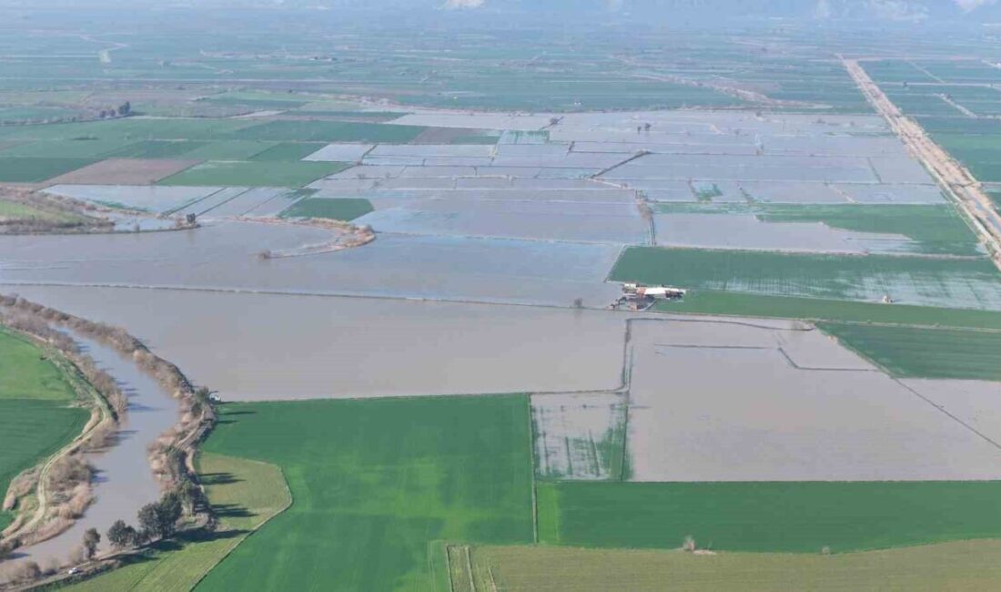 Aydın’da sağanak yağışlar Büyük Menderes Nehri’nde taşkına neden olurken yüzlerce