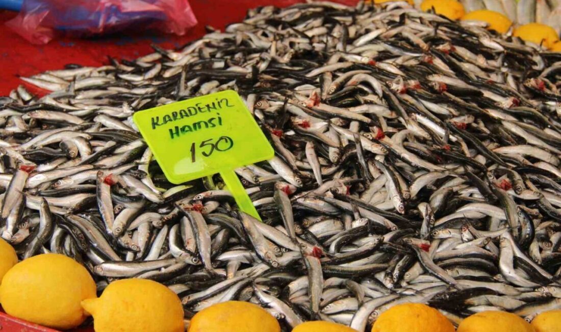 Muğla’nın Menteşe ilçesinde balık tezgahlarında hamsi fiyatları düşüşe geçti. Geçtiğimiz