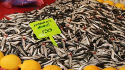 Muğla’nın Menteşe ilçesinde balık tezgahlarında hamsi fiyatları düşüşe geçti. Geçtiğimiz