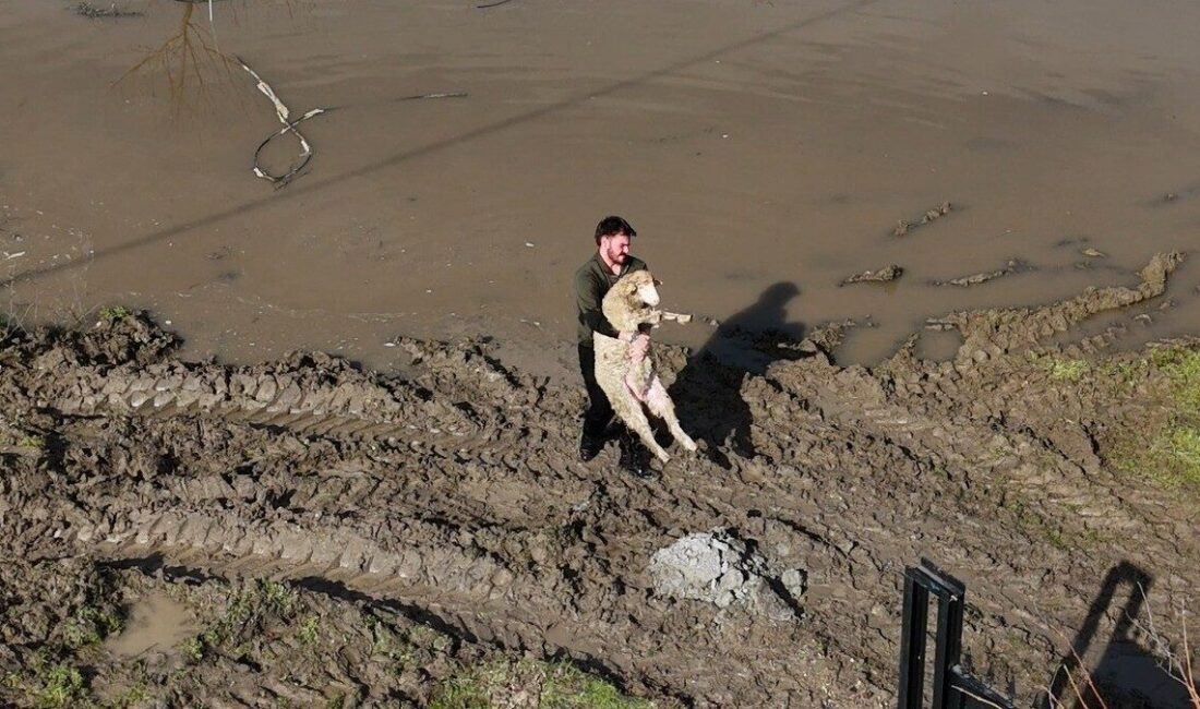 Meriç Nehri’nin taşmasıyla Edirne’de tarım arazileri ve yerleşim alanları sular
