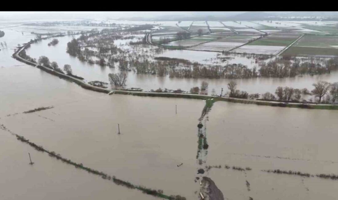 Edirne’nin Meriç ilçesine bağlı Subaşı beldesinde, Meriç Nehri’ndeki debinin yükselmesi