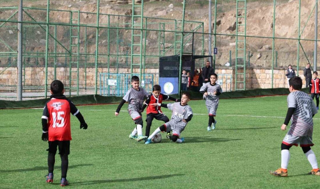 Merkezefendi Belediyesi ve Denizli Amatör Spor Kulüpleri Federasyonu iş birliğiyle