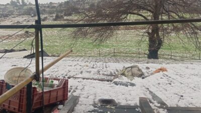 Mersin’in Tarsus ilçesinde kırsal mahallelerde etkili olan dolu yağışı, ekili