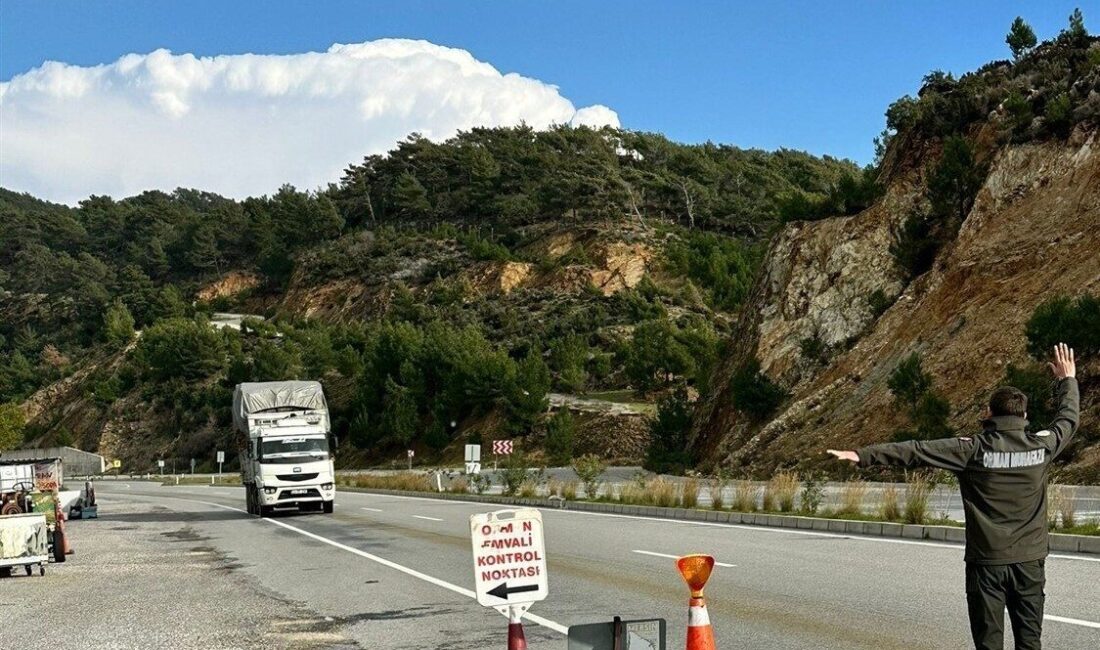 Mersin Orman Bölge Müdürlüğüne bağlı 9 Orman İşletme Müdürlüğünde, ormanların