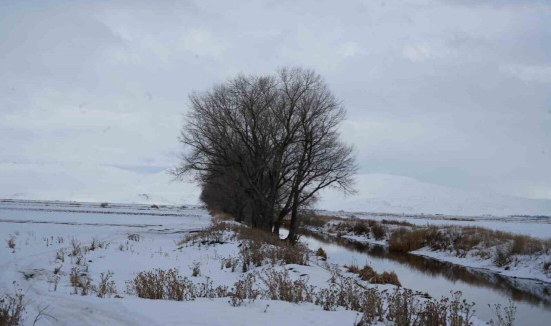 Meteoroloji 12. Bölge Müdürlüğü Bölge Tahmin ve Erken Uyarı Merkezi;