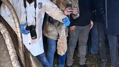 Bartın’da bir mezarlığa gömülen esrarengiz paket mahalleliyi ayağa kaldırdı. İhbar