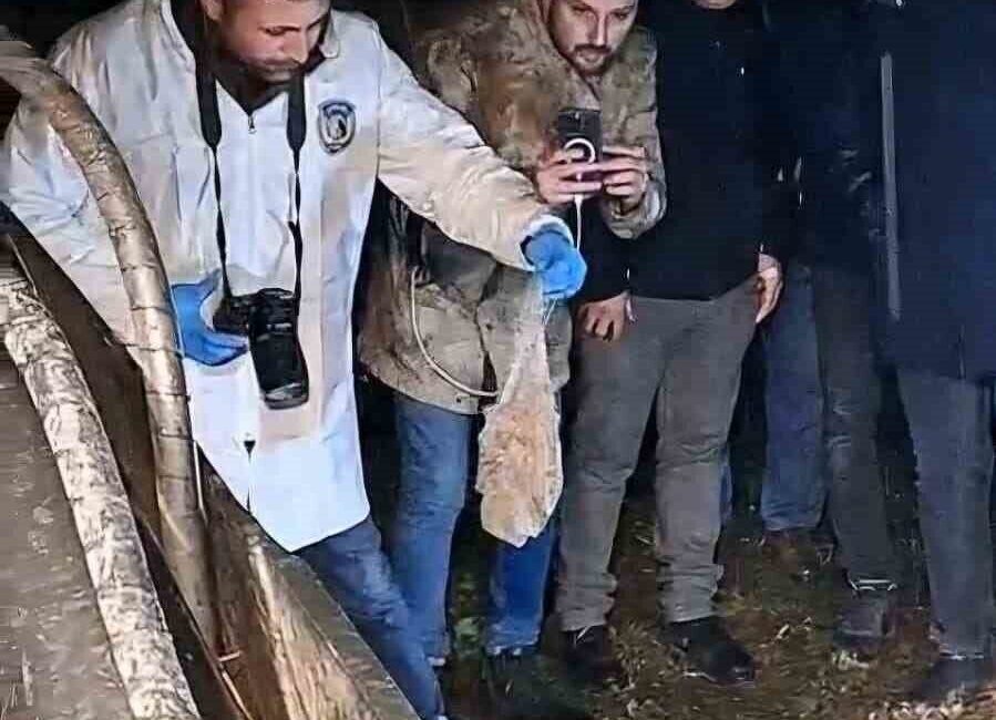 Bartın’da bir mezarlığa gömülen esrarengiz paket mahalleliyi ayağa kaldırdı. İhbar