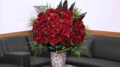 Milliyetçi Hareket Partisi (MHP) Genel Başkanı Devlet Bahçeli, Cumhurbaşkanı Recep