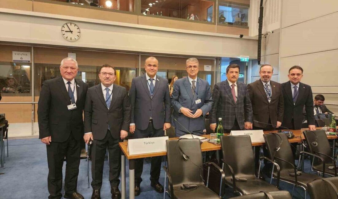 Milliyetçi Hareket Partisi Erzurum Milletvekili ve Avrupa Güvenlik ve İşbirliği