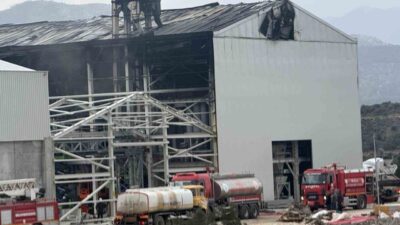Muğla’nın Milas ilçesinde inşaat halindeki fabrikada çıkan yangın ekiplerin müdahalesi
