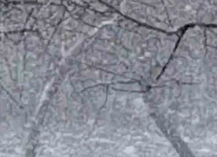 Bolu’nun Mudurnu ilçesinde lapa lapa kar yağışı etkili oldu. Bölgede