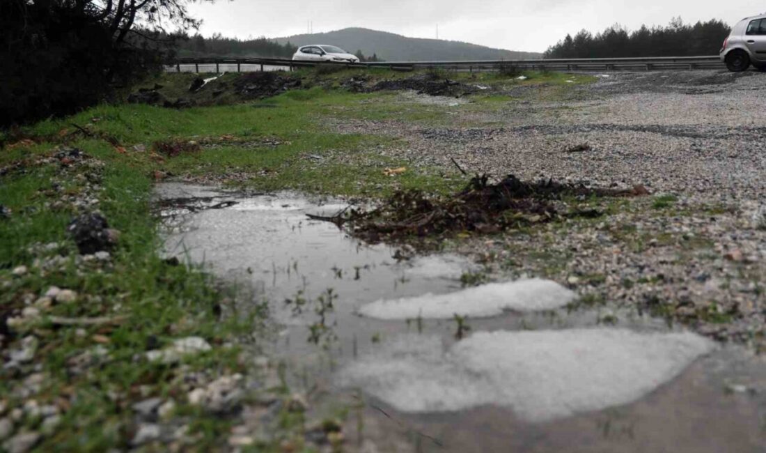 Muğla genelinde etkili olan sağanak yağış, yüksek kesimlerde yer yer