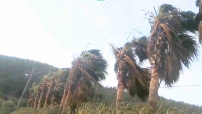 Meteoroloji Genel Müdürlüğü Antalya Bölgesel Tahmin Merkezi, Muğla’nın Kuzey bölgeleri