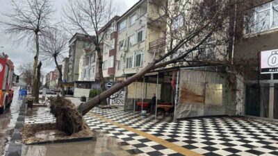 Tekirdağ’ın Muratlı ilçesinde etkili olan şiddetli rüzgarda bir ağaç kahvehanenin
