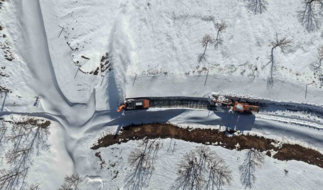 Muş ile Bitlis arasındaki Hasköy-Mutki kara yolu, yoğun kar yağışı