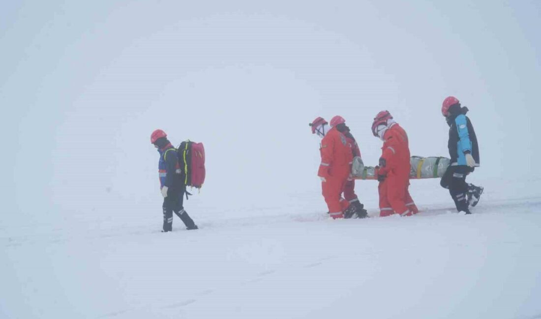 Muş’ta AFAD koordinasyonunda, 2 bin 600 rakımlı Kozma Dağı’nda gerçekleştirilen