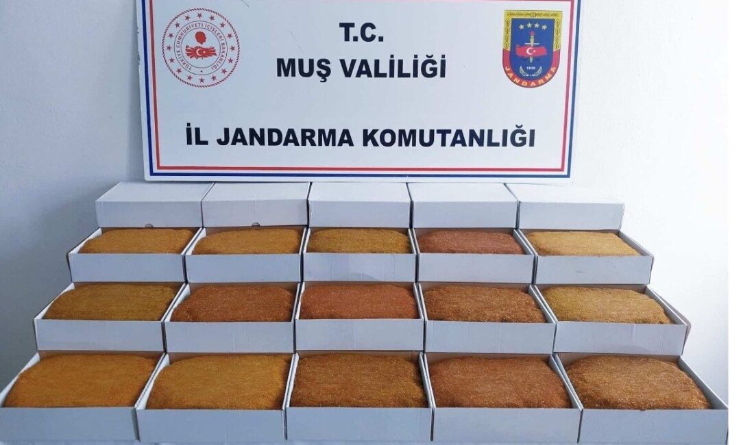 Muş’ta jandarma ekiplerince bir araçta yapılan aramada 45 kilogram bandrolsüz