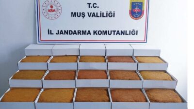Muş’ta jandarma ekiplerince bir araçta yapılan aramada 45 kilogram bandrolsüz