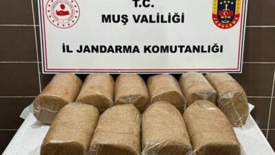 MUŞ (İHA) – Muş’un Malazgirt ilçesinde düzenlenen operasyonda piyasa değeri