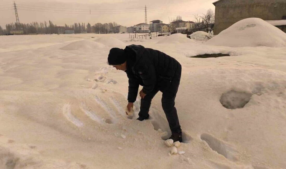 Irak üzerinden taşınan toz bulutlarıyla gelen yağmur, Muş’ta bembeyaz karın