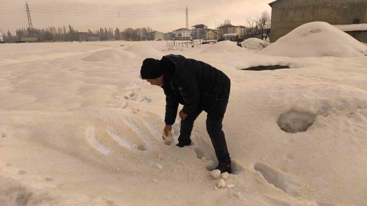 Irak üzerinden taşınan toz bulutlarıyla gelen yağmur, Muş’ta bembeyaz karın