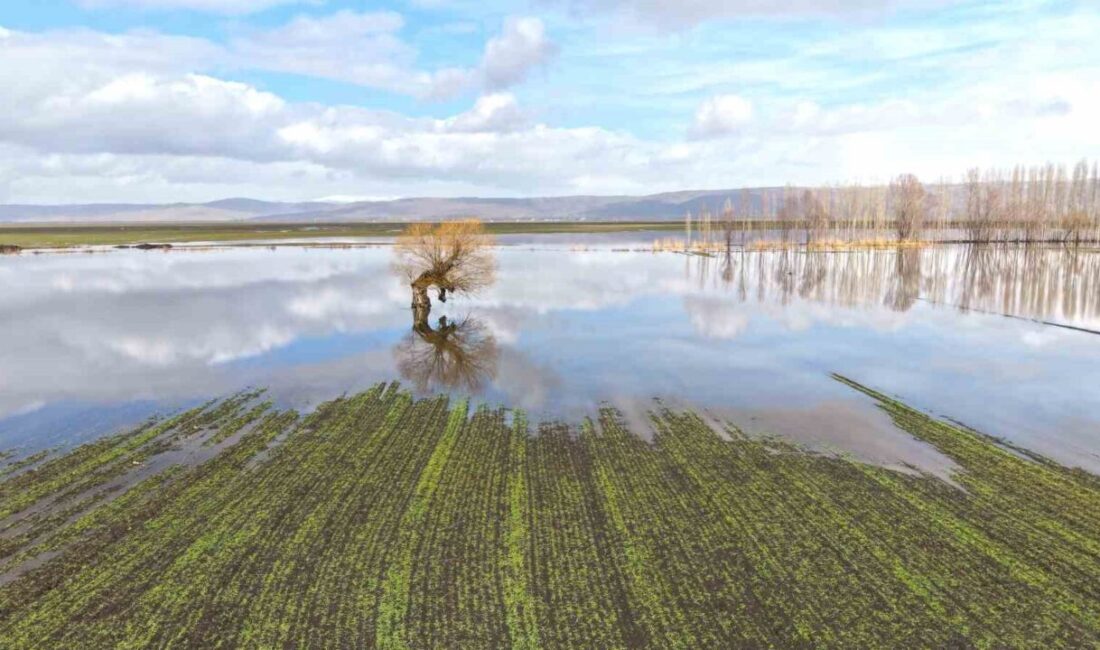 Muş Ovası’nda mevsim normallerinin üzerindeki sıcaklıklar ve aralıklarla etkili olan