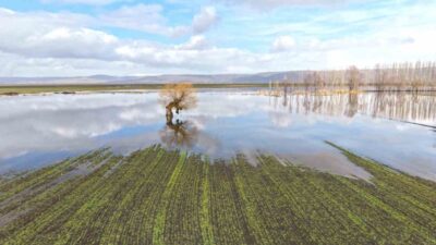 Muş Ovası’nda mevsim normallerinin üzerindeki sıcaklıklar ve aralıklarla etkili olan