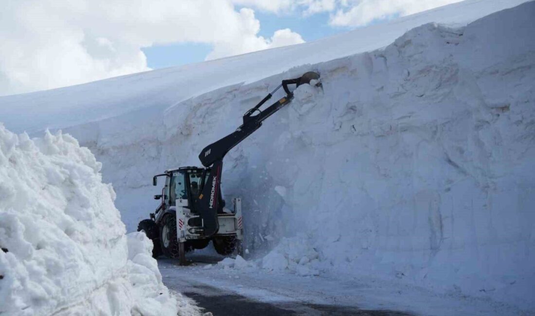 Muş’ta yoğun kar yağışı ve tipi nedeniyle kapanan Derecik-Ilıca-Ağıllı grup