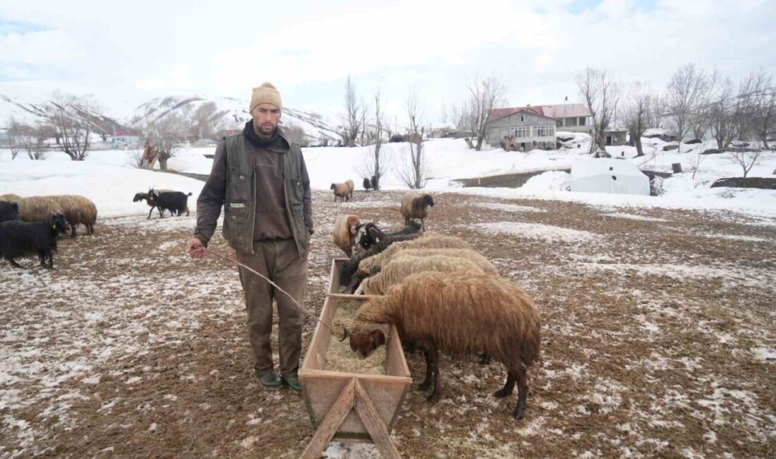 Muş’un kırsal kesimlerinde kar kalınlığı yer yer 2 metreyi bulurken,