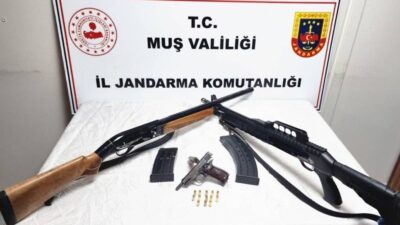 Muş İl Jandarma Komutanlığı ekiplerince Varto ilçesinde düzenlenen operasyonda, ruhsatsız
