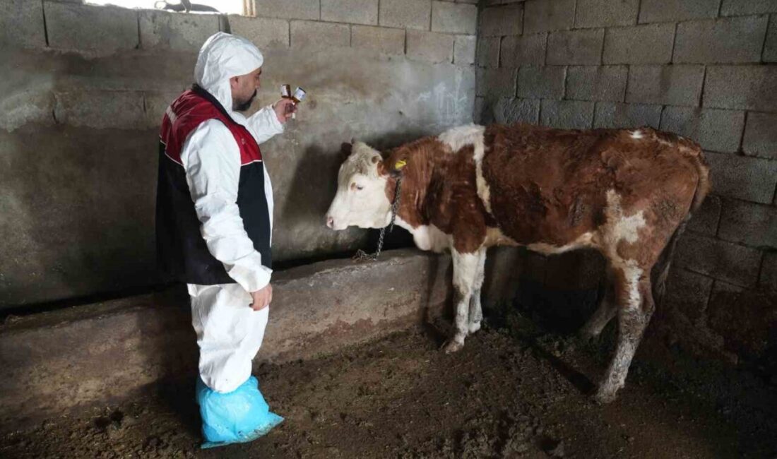 Tarım ve Orman Bakanlığı tarafından yürütülen “Hayvan Hastalık ve Zararlıları