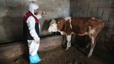 Tarım ve Orman Bakanlığı tarafından yürütülen “Hayvan Hastalık ve Zararlıları