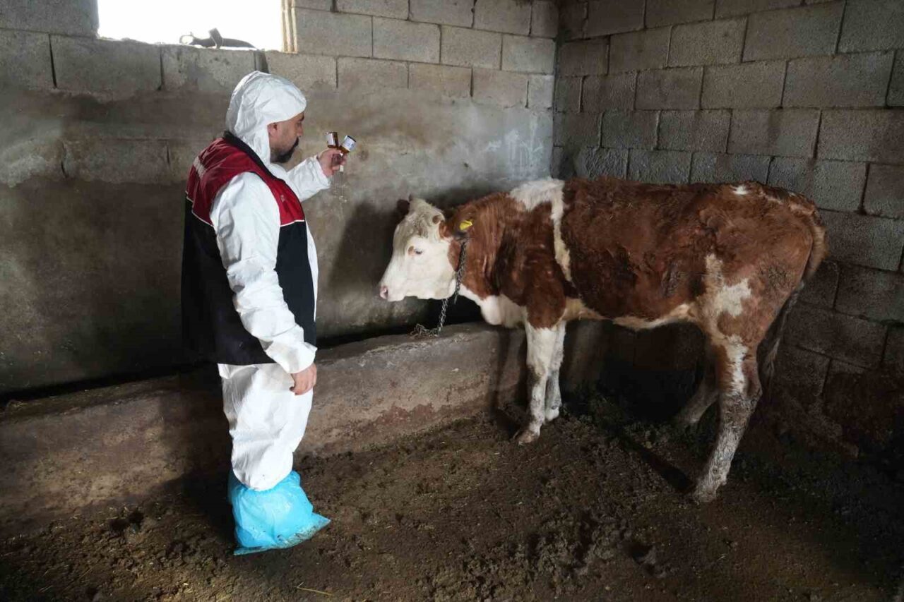 Tarım ve Orman Bakanlığı tarafından yürütülen “Hayvan Hastalık ve Zararlıları