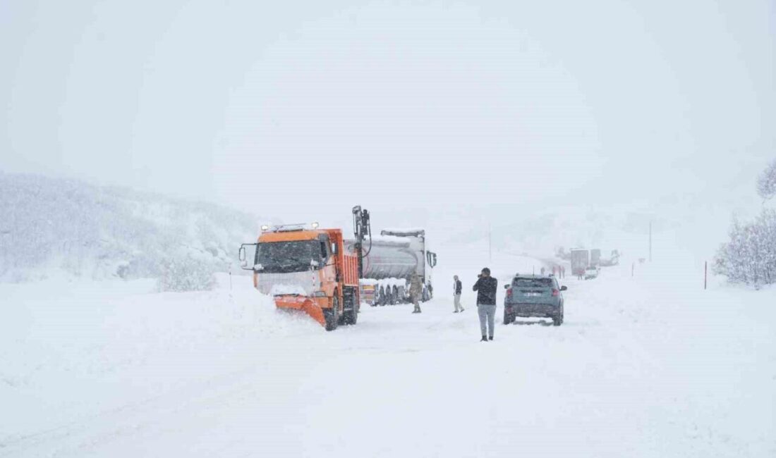 Muş’un Hasköy ilçesi ile Bitlis’in Mutki ilçesi arasında ulaşımın sağlandığı