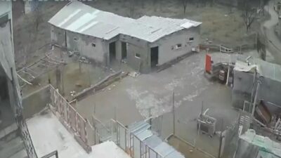 Nevşehir’in Acıgöl ilçesinde etkili olan fırtına nedeniyle bir ağılın çatısı