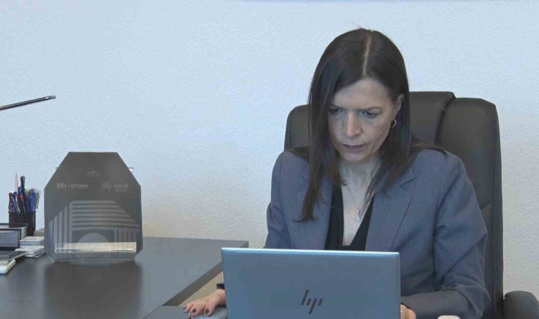 Nurol Teknoloji Genel Müdürü Serpil Gönenç Dinçer, artan jeopolitik gerilimlerin