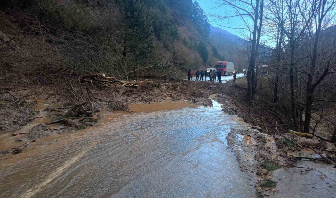 İzmir’in Ödemiş ilçesinde etkili olan şiddetli yağış sonrası meydana gelen