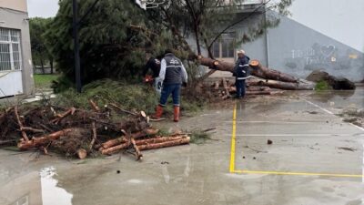 Aydın’ın Koçarlı ilçesine bağlı Bıyıklı Mahallesi’nde etkili olan şiddetli fırtına