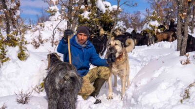 Yozgat’ın Akdağmadeni ilçesinde yaşayan Erkan Taştan, köpeğini öldürenlerin bulunmasını istiyor.